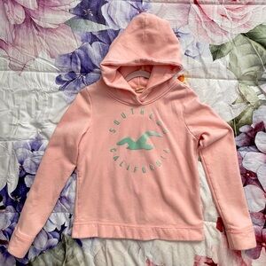 Hollister Pink Hoodie with Mint Logo